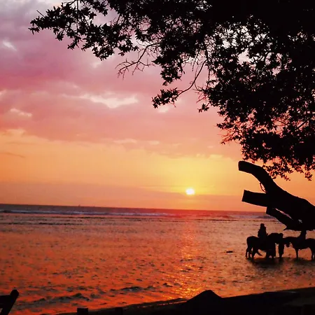 Kalua Boutique Bungalows-2